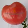 Giant Heart Climber Tomato