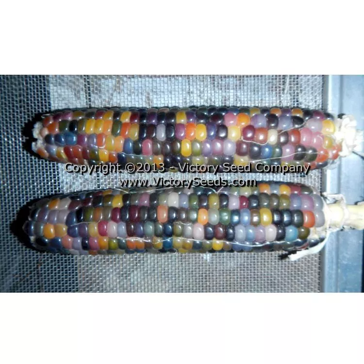 Glass Gem Popcorn