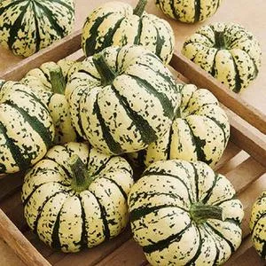 Sweet Dumpling Winter Squash