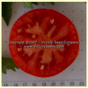 Livingston's Ideal Tomato