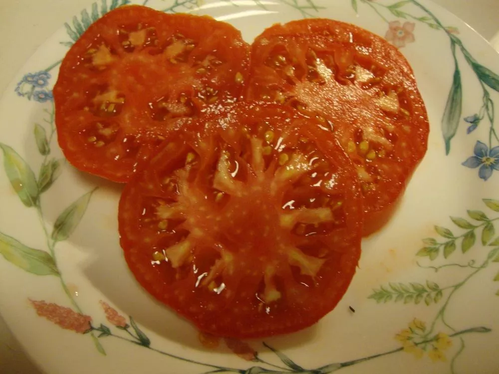 Better Boy F1 Tomato