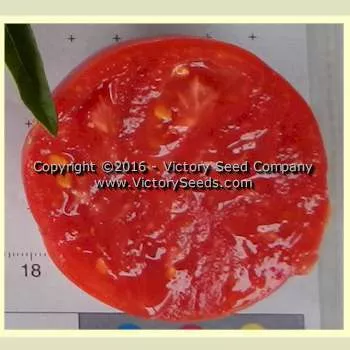 Gill's Red Heart Tomato