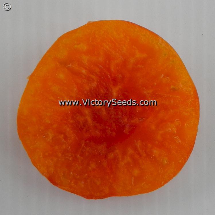 Dwarf Choemato Tomato