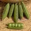 Little Marvel Garden Pea
