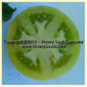 Dwarf Kelly Green Tomato
