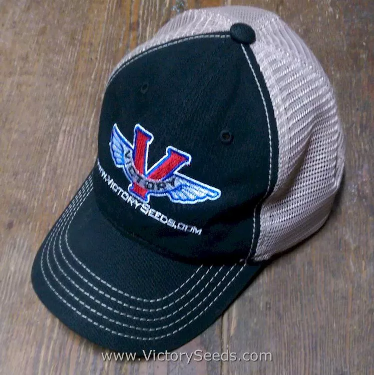 Victory Seed Soft Mesh Back Trucker's Hat