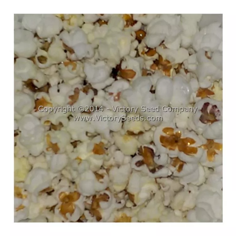 Glass Gem Popcorn