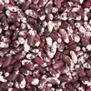 Jacob's Cattle Bush Dry Garden Bean