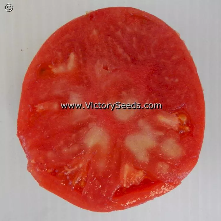 Bell's German Pink Tomato