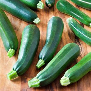 Black Beauty Zucchini Summer Squash