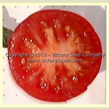 Burpee's Matchless Tomato
