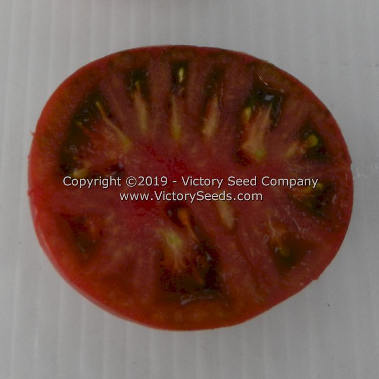 Dwarf Dainty Isabel Tomato
