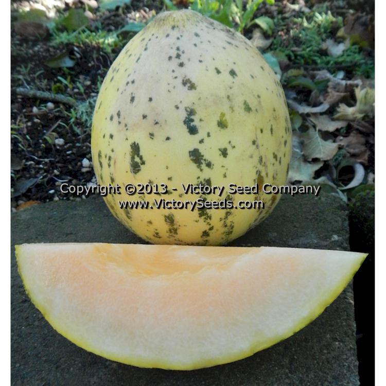 Tularosa Market Melon