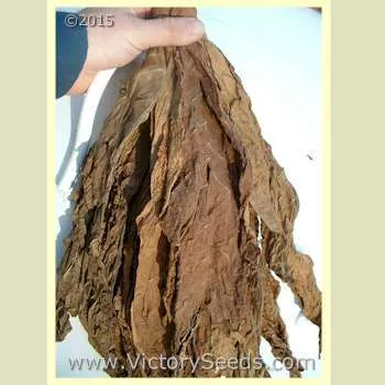 Green Briar Tobacco