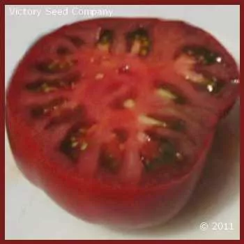 Tasmanian Chocolate Tomato