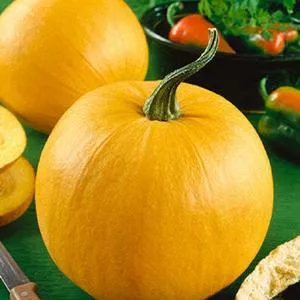 Small Sugar Pumpkin