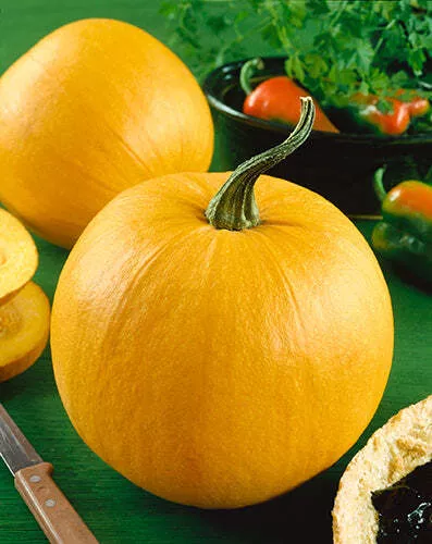 Small Sugar Pumpkin