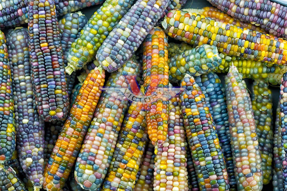 Glass Gem Popcorn