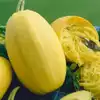 Vegetable Spaghetti Winter Squash