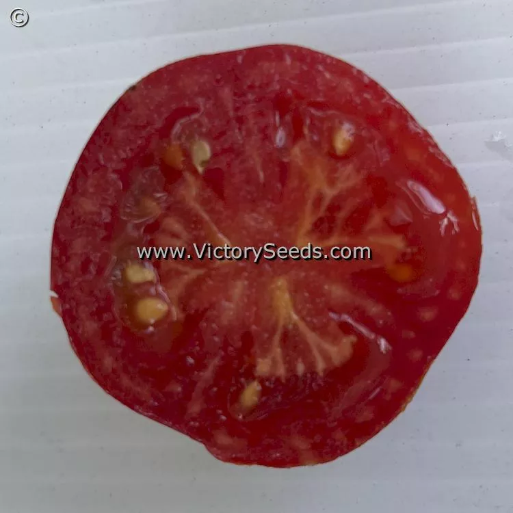 Stephania Heritage Tomato