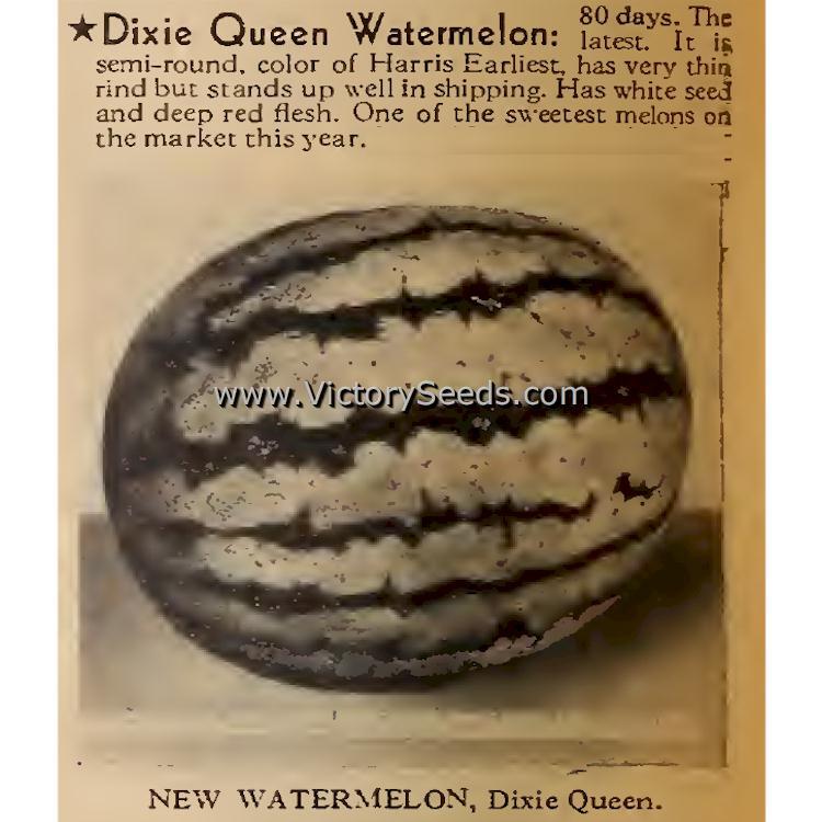 Dixie Queen Watermelon