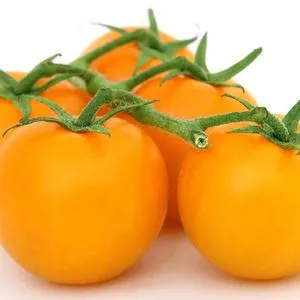 Sungold F1 Tomato