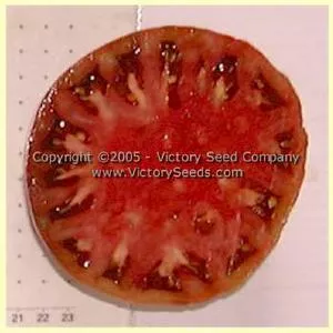 Indian Stripe Tomato