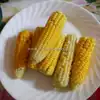 Yukon Chief Sweet Corn