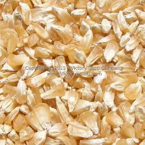 Country Gentleman Sweet Corn