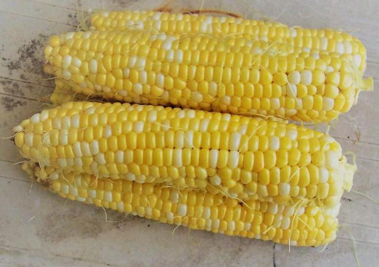 Peaches & Cream SE Sweet Corn