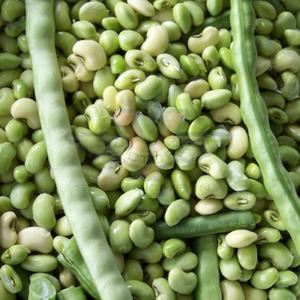 Big Boy Southern Pea