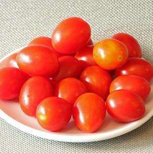 Cherry Roma Tomato