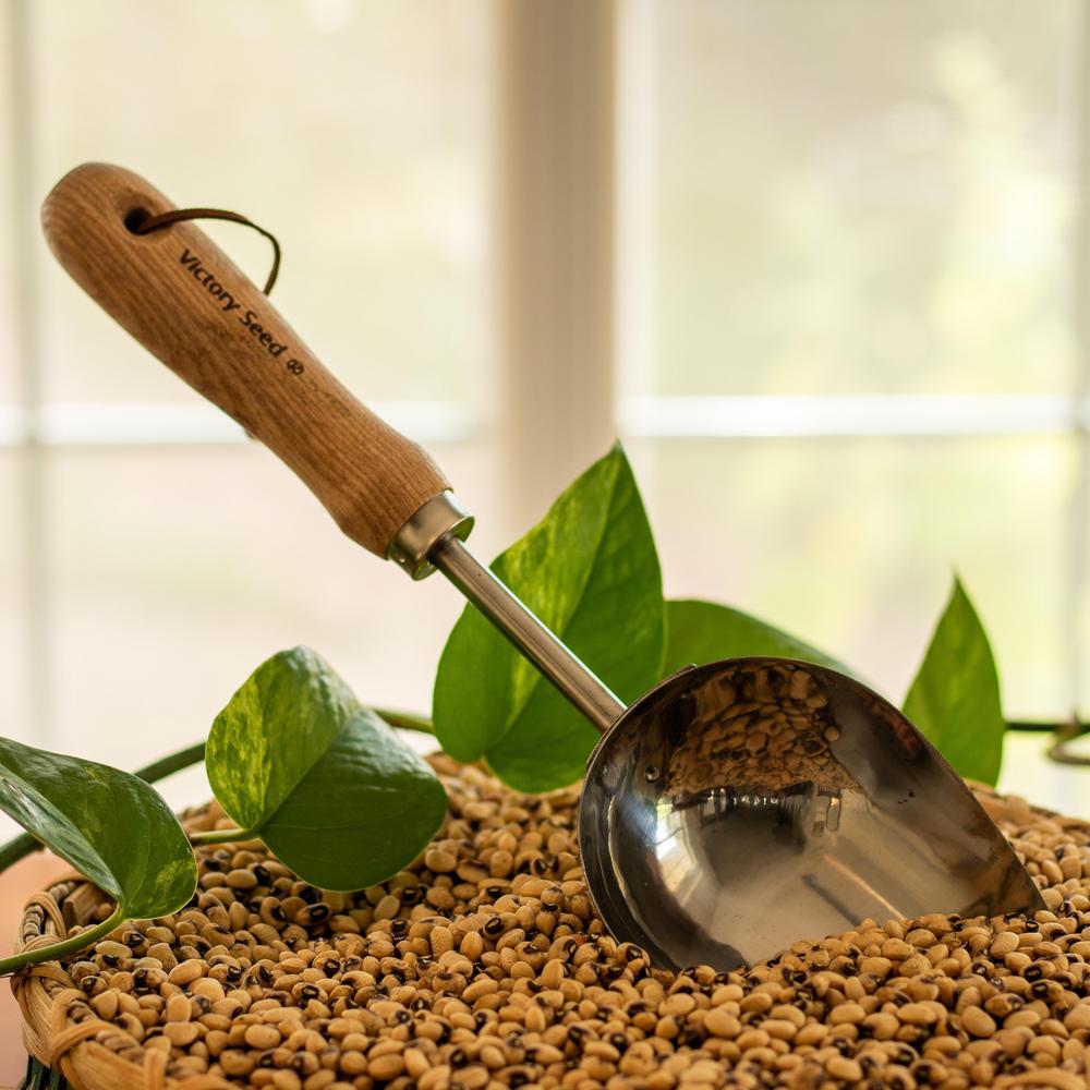Seed Scoop