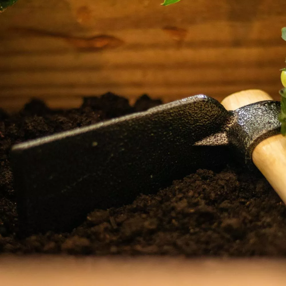 Tomato Planter