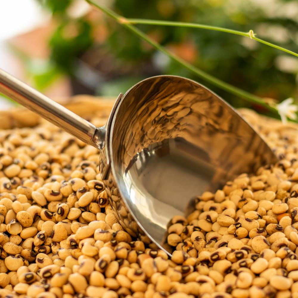 Seed Scoop