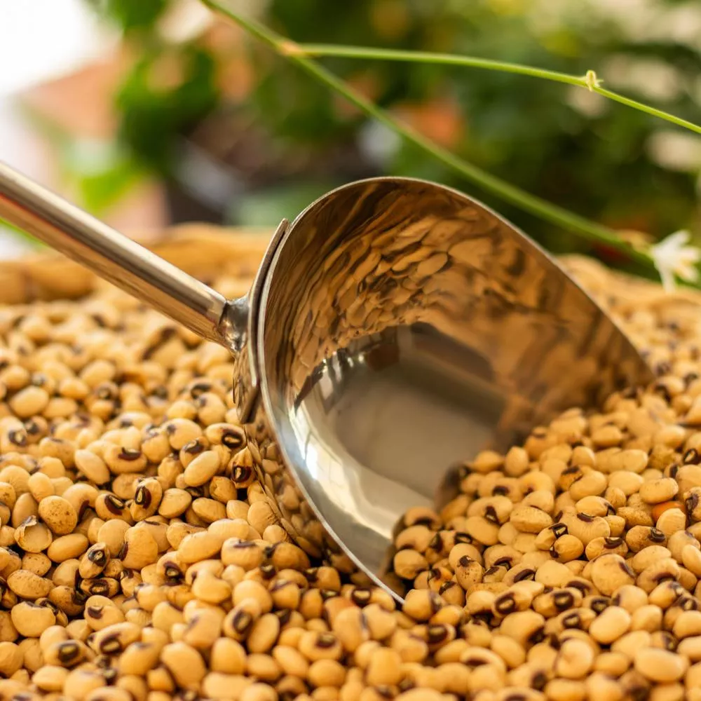 Seed Scoop