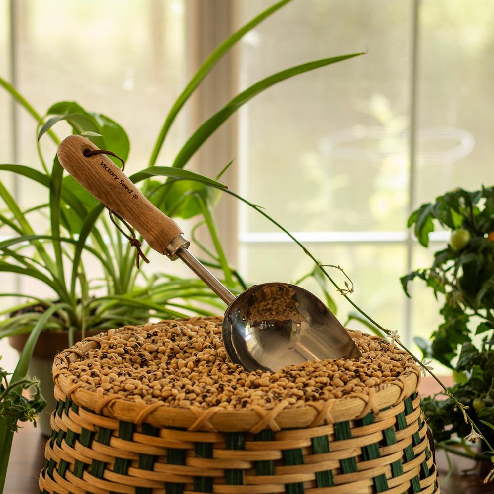 Seed Scoop