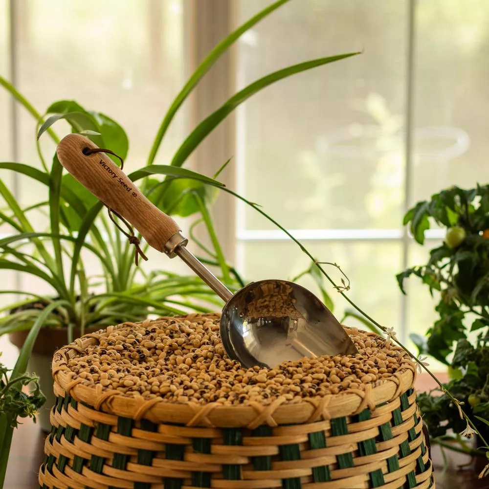 Seed Scoop