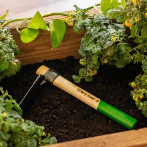 Tomato Planter
