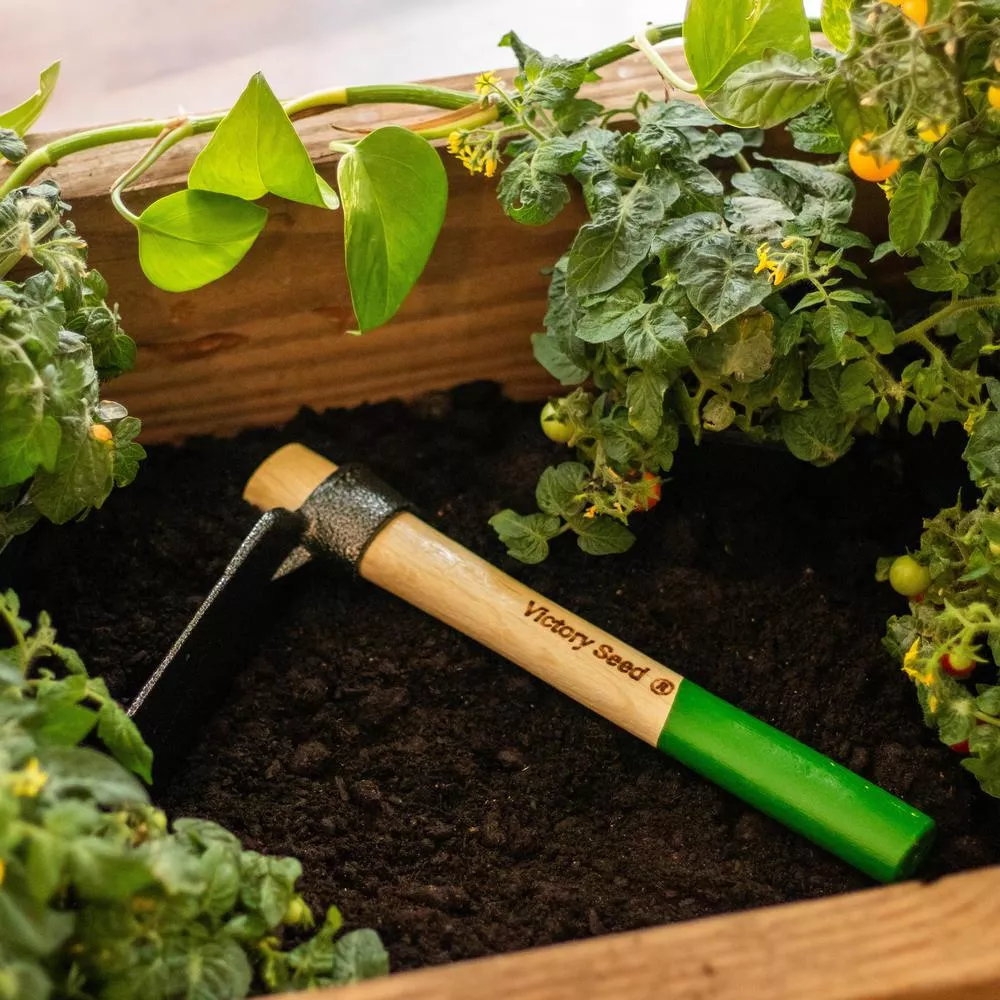 Tomato Planter