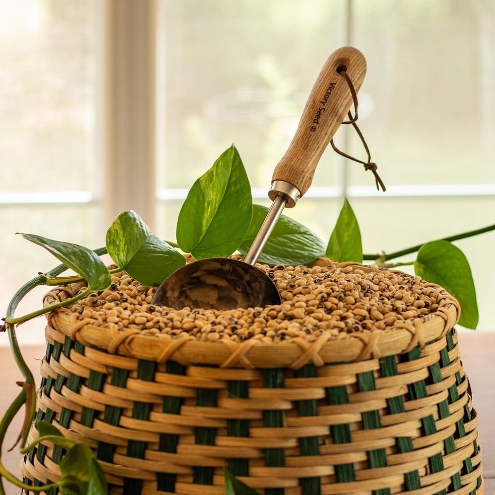 Seed Scoop