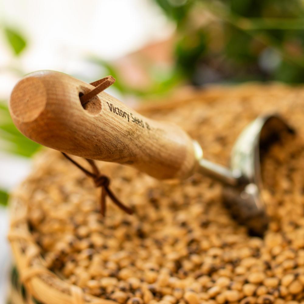 Seed Scoop