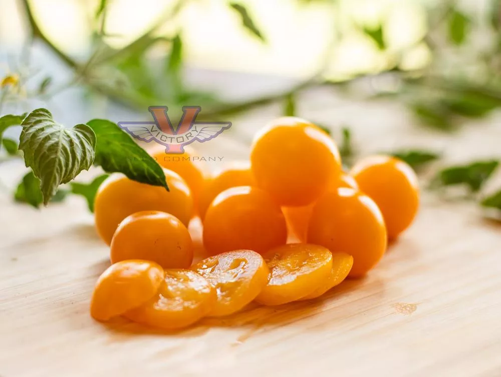 Esterina F1 Tomato