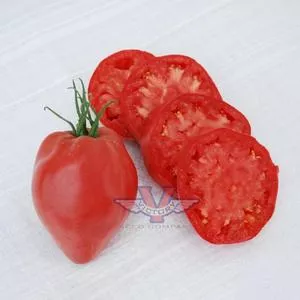 Hungarian Heart Tomato