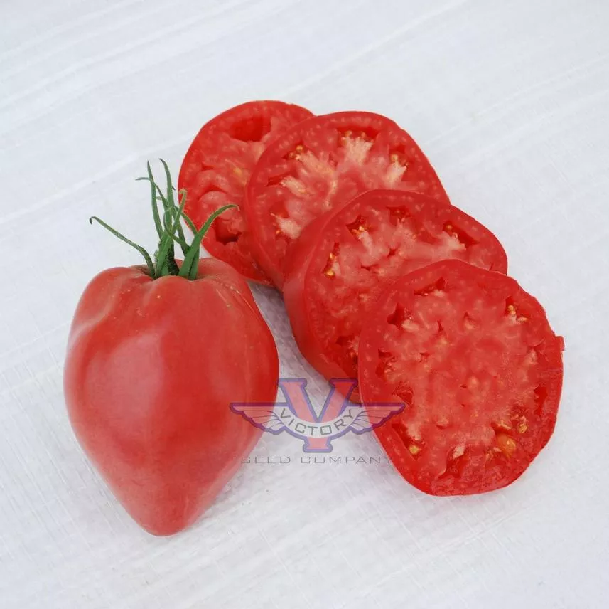 Hungarian Heart Tomato