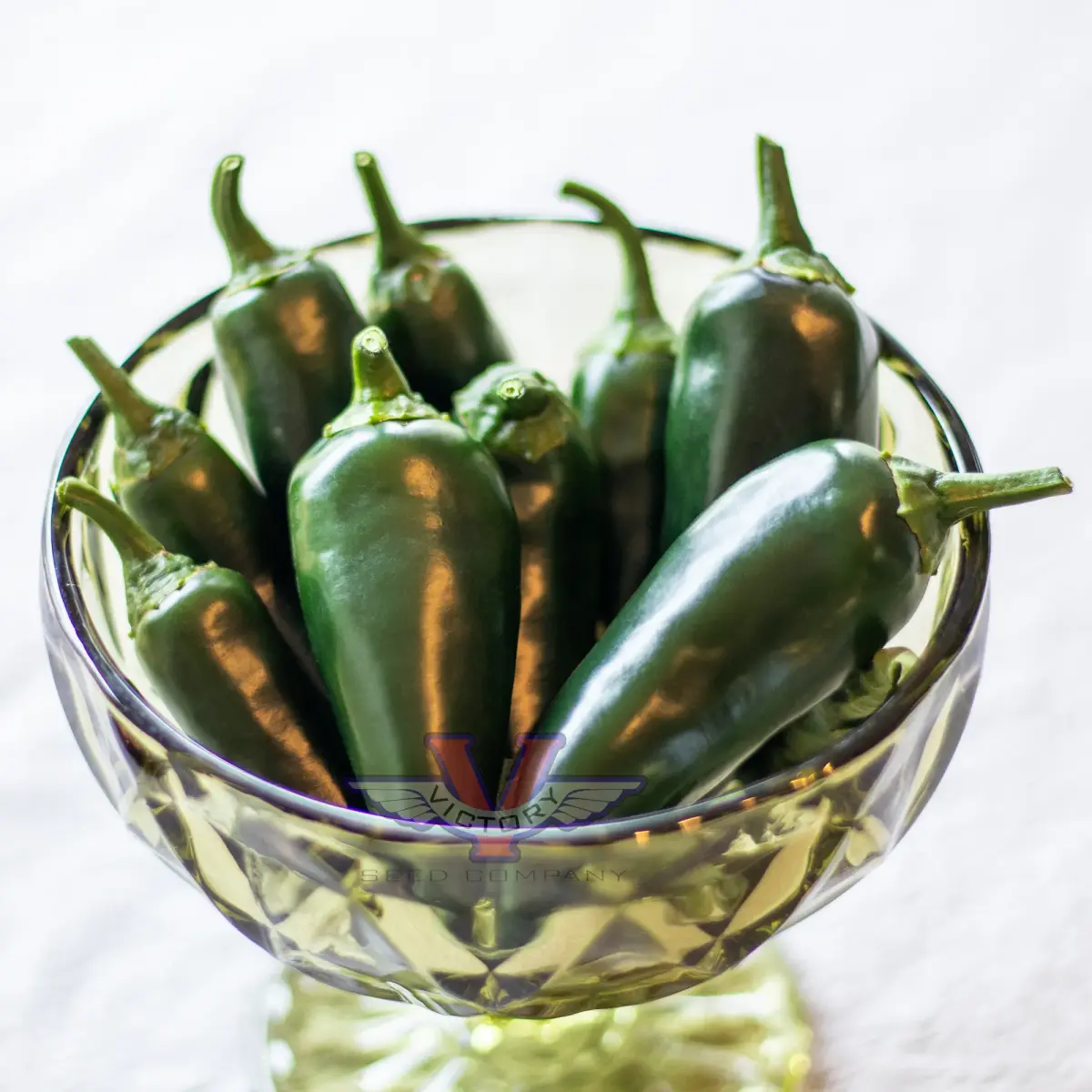 Black Magic F1 Jalapeno Pepper