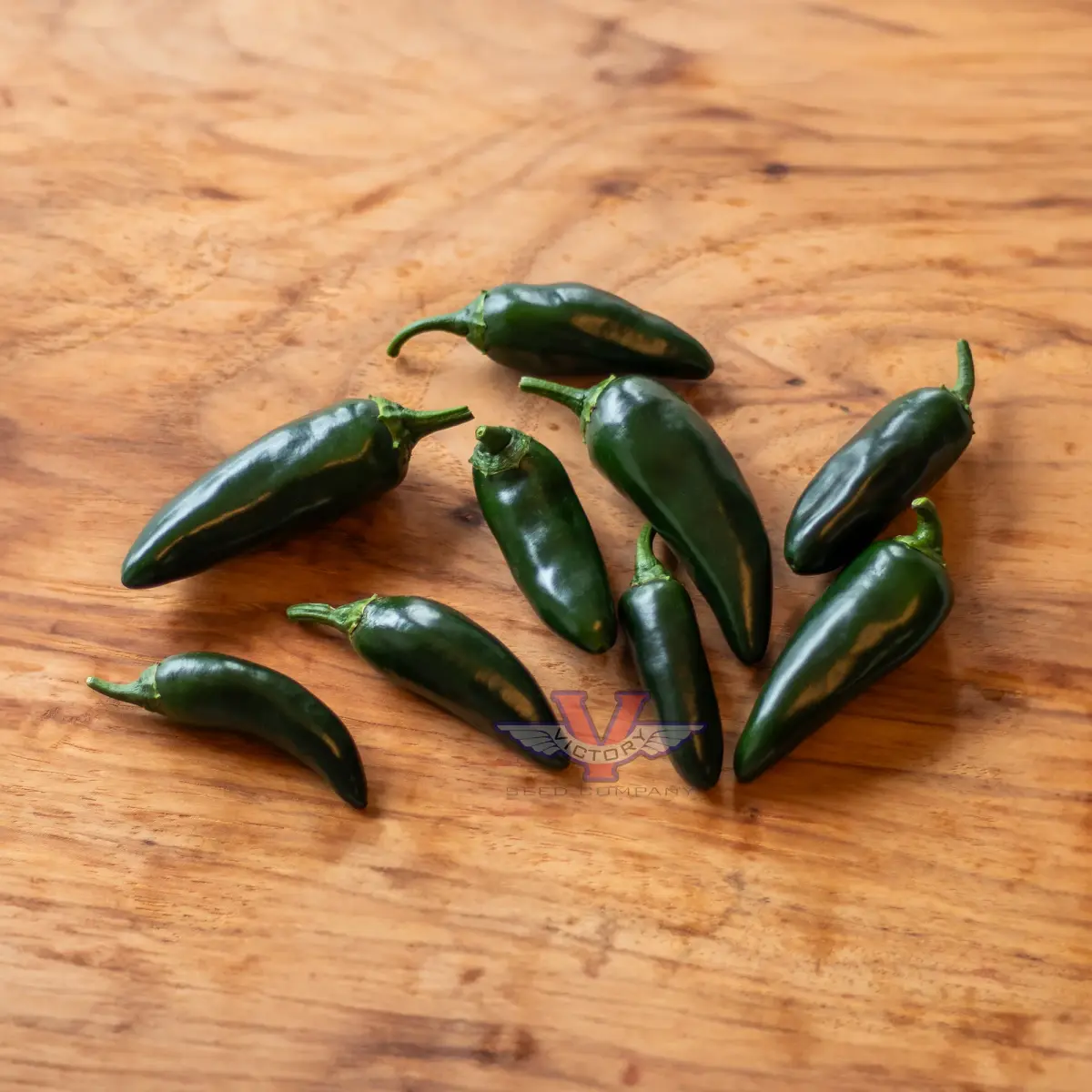Black Magic F1 Jalapeno Pepper