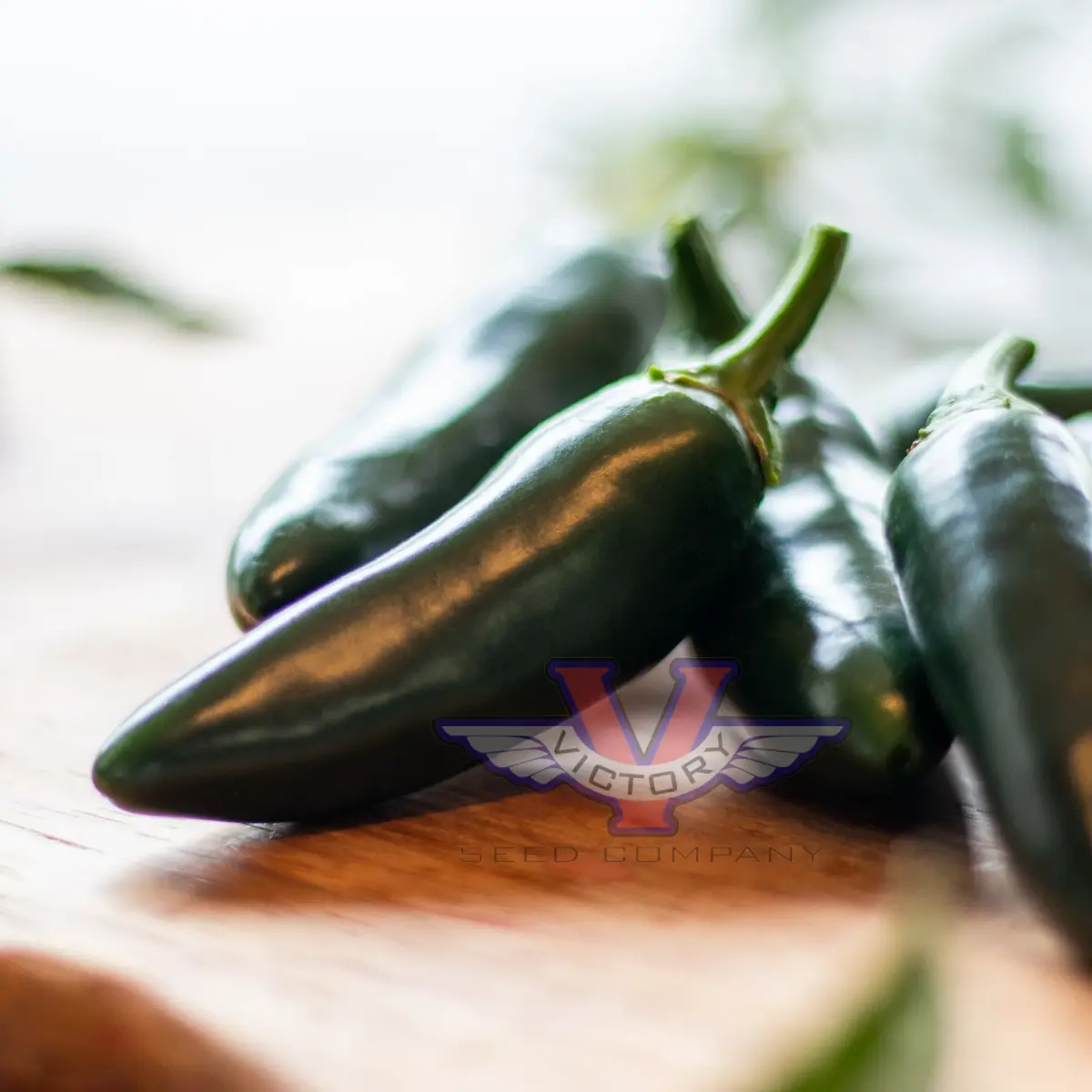 Black Magic F1 Jalapeno Pepper