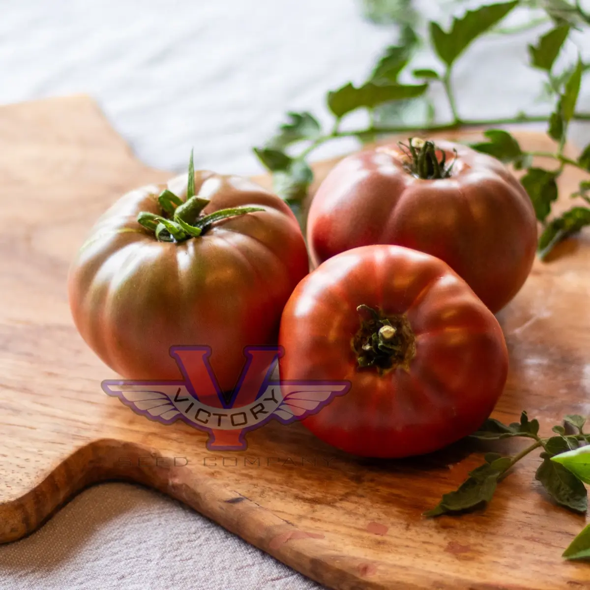 Cherokee Carbon F1 Tomato