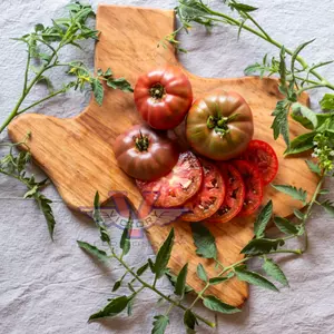 Cherokee Carbon F1 Tomato